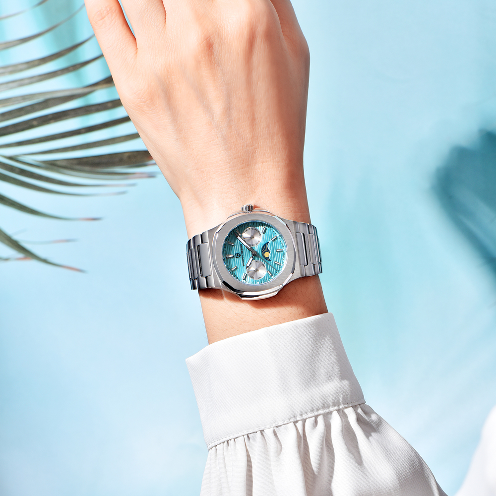 PAGANI DESIGN New luxury Men's - огляд і ціна Chronograph Sport Watch