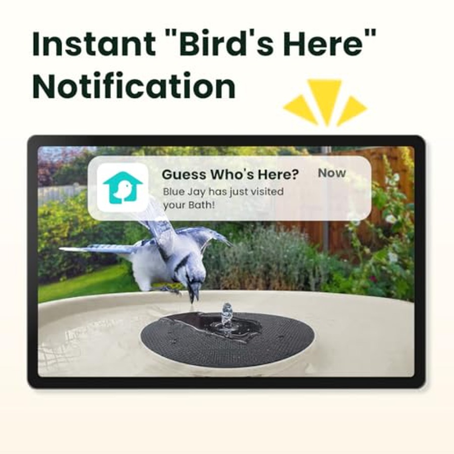 Bird Watching Smart Bird Bath  - огляд і ціна Watches Original