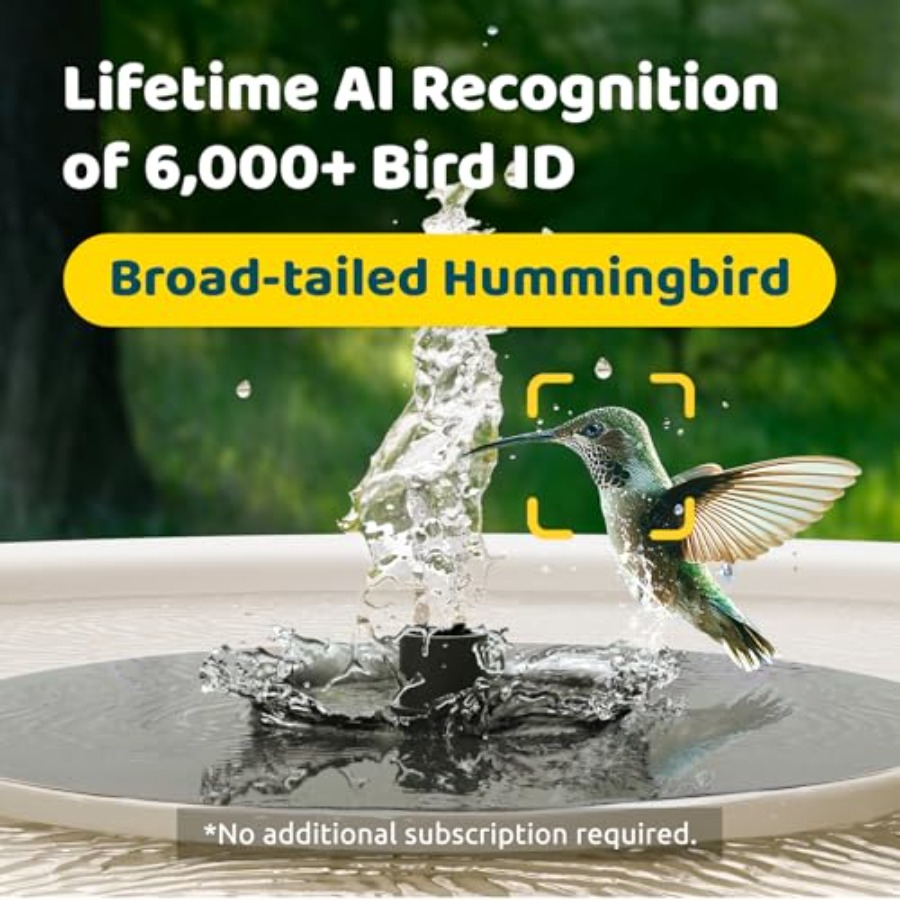 Bird Watching Smart Bird Bath  - огляд і ціна Watches Original