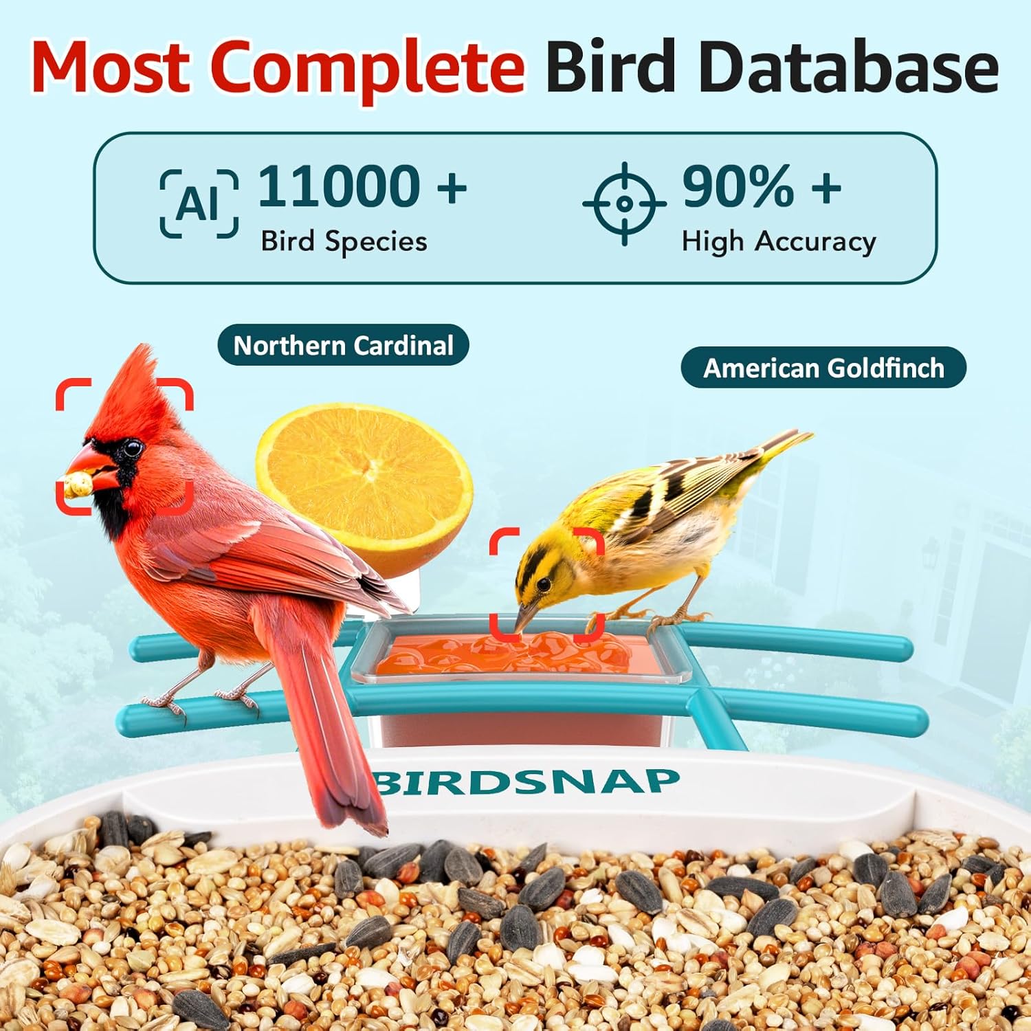 2K HD Bird Feeder Camera with  - огляд і ціна Watches Original