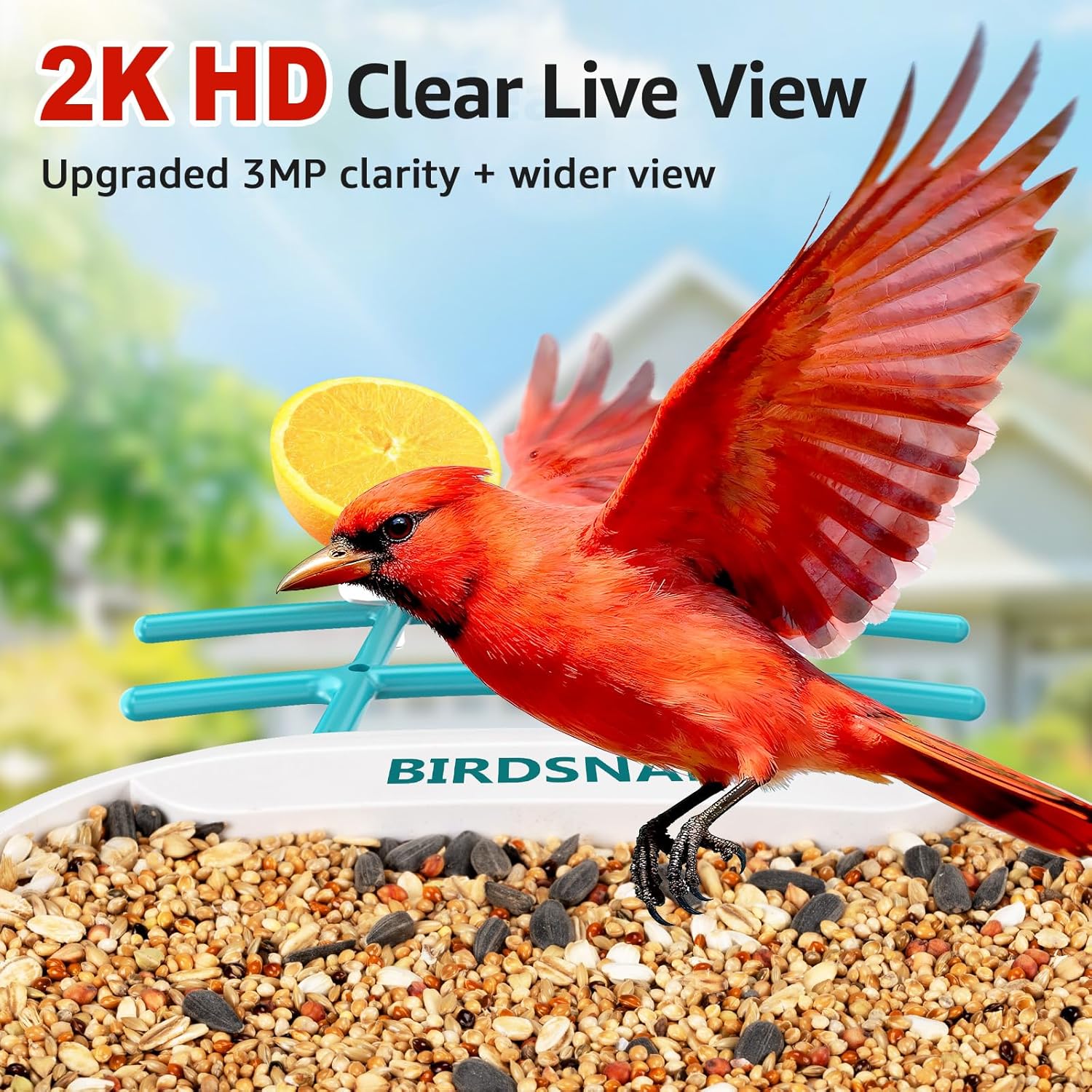 2K HD Bird Feeder Camera with  - огляд і ціна Watches Original